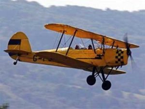 tigermoth